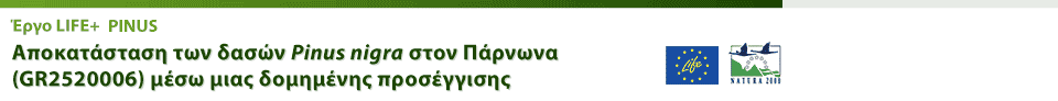 Έργο LIFE+ Αποκατάσταση δασών μαύρης πεύκης στον Πάρνωνα