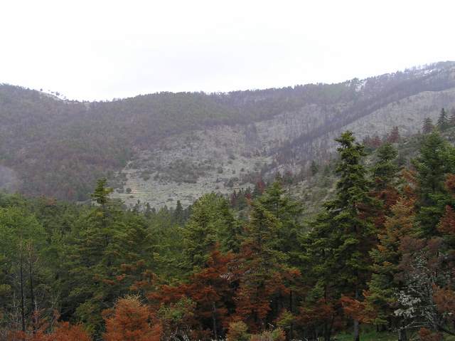 P3280023.jpg P3280023.jpg