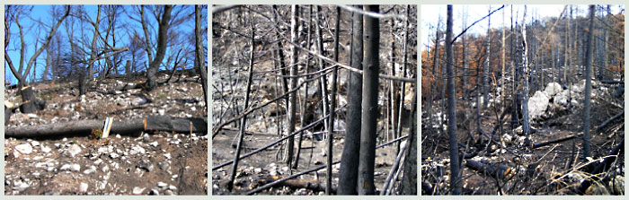 img-general.jpg img-general.jpg